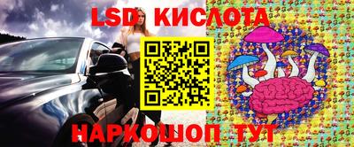 крисы Тверь