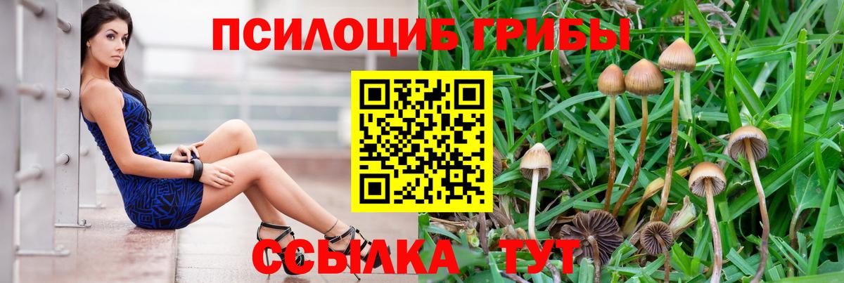 Псилоцибиновые грибы мухоморы Урус-Мартан